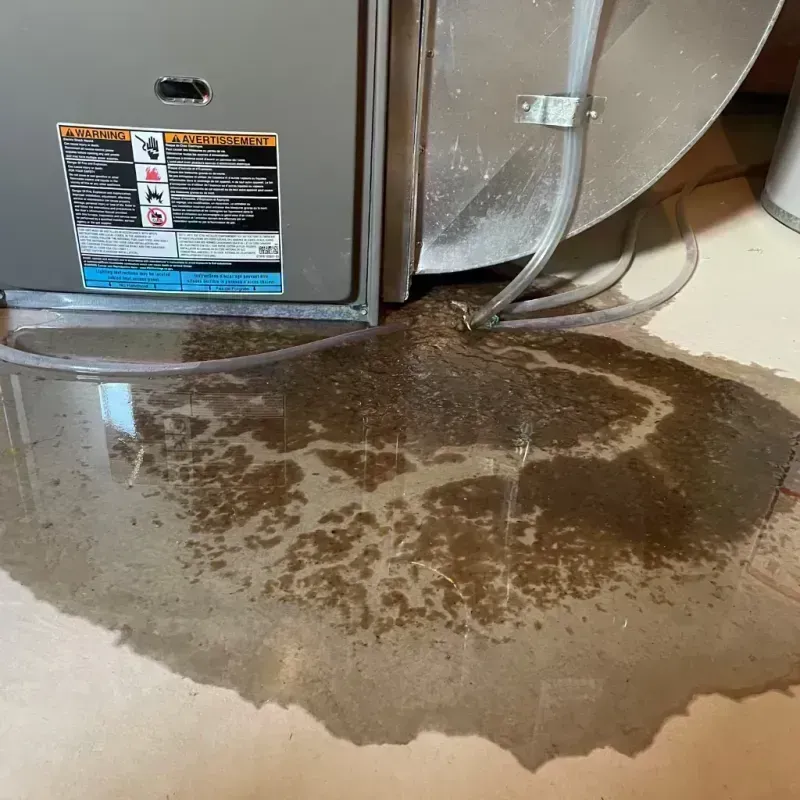 Appliance Leak Cleanup in Elsberry, MO